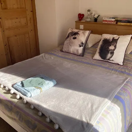 Aristide Briand Apartment Moutiers (Savoie)